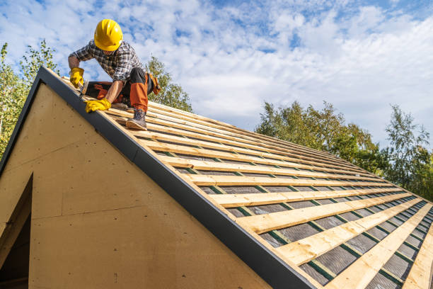 Best Roof Maintenance Services  in Winterset, IA