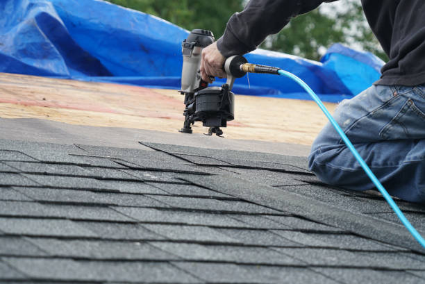 Best Flat Roof Repair Services  in Winterset, IA